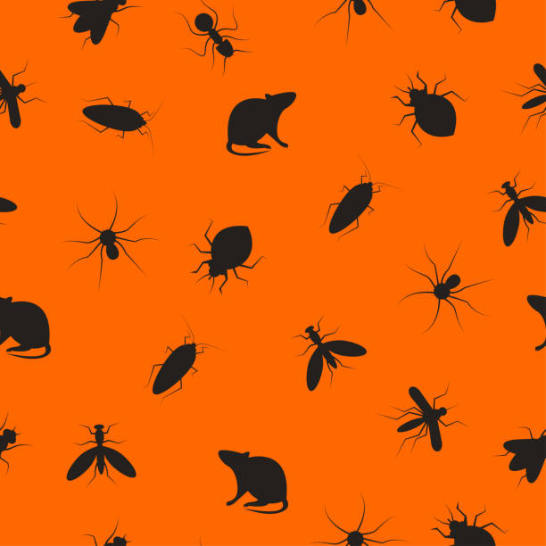 ilustrações, clipart, desenhos animados e ícones de insetos e roedores - service pest insect fly