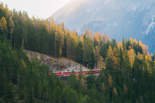 Scenic view of train on viaduct in Switzerland forest in winter