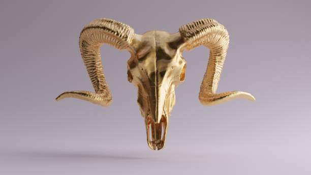 Gold Ram Skull Gold Ram Skull 3d illustration 3d rendering satan goat stock pictures, royalty-free photos & images