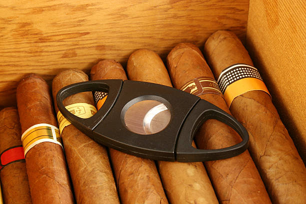 Cygara w humidor z gipsu – zdjęcie