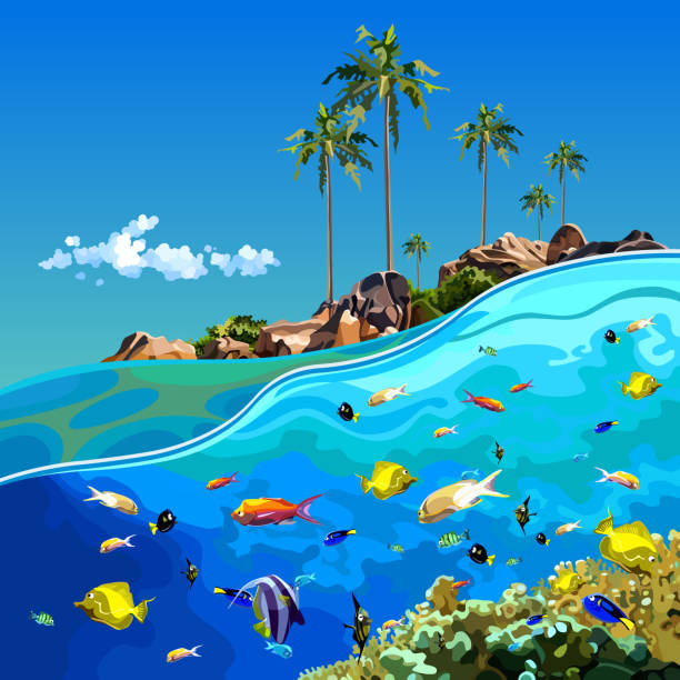 istock cartoon underwater world near a tropical island 899111442