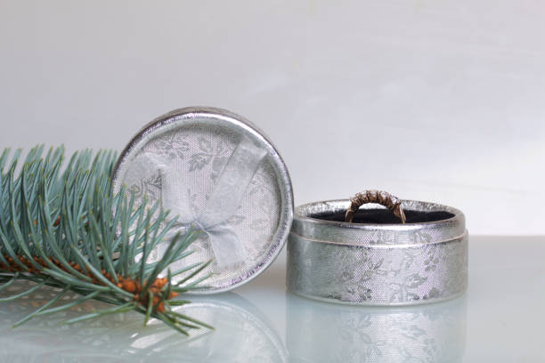 istock A gift to a loved one. An open silver box with a gold ring. On a white background with a spruce branch. 899111922
