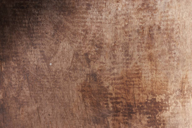 istock texture of bark wood use as natural background 899111944