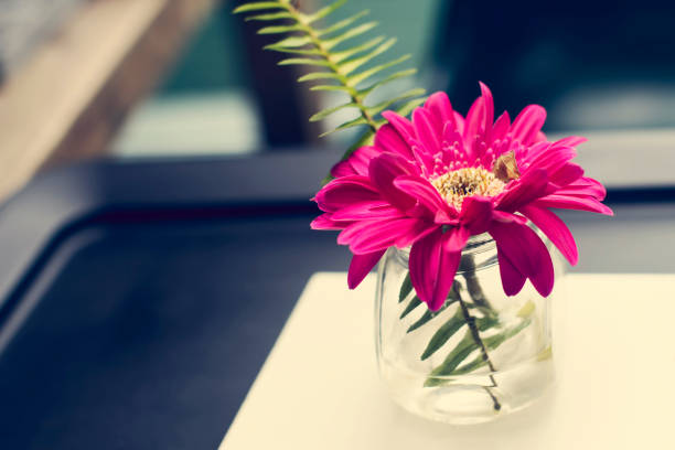 istock Very soft focus on pink flower in a glasses. 899113312