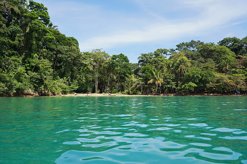 Caribbean coast of Costa Rica in Punta uva, Puerto Viejo de Talamanca
