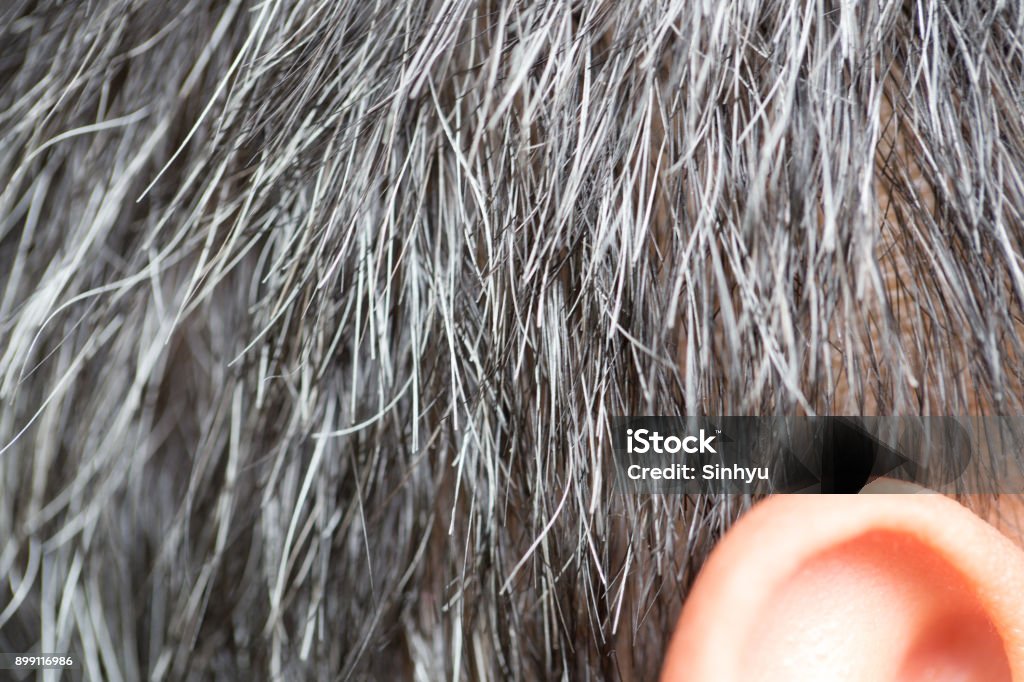 Cheveux gris - Photo de Cheveux gris libre de droits