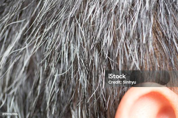 Photo libre de droit de Cheveux Gris banque d'images et plus d'images libres de droit de Cheveux gris - Cheveux gris, Hommes, Cheveux ou Poils
