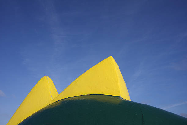 istock Yellow Sea Monster Fins 89911706