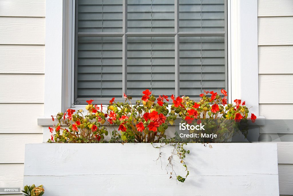 Fenêtre boîte de fleurs - Photo de Fenêtre libre de droits