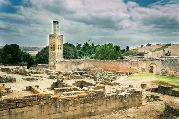 Chellah necropolis, Rabat. General view of the Chellah Necropolis including the mosque in whose top we can find stork nests sala colonia stock pictures, royalty-free photos & images