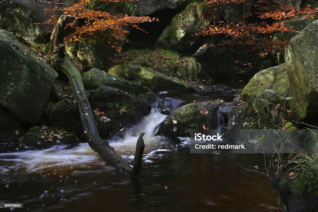 autumnal waterfall scene  Autumn Stock Photo