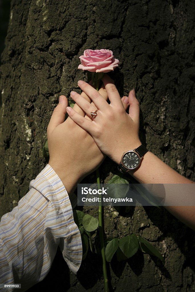 man and woman hands  Adult Stock Photo