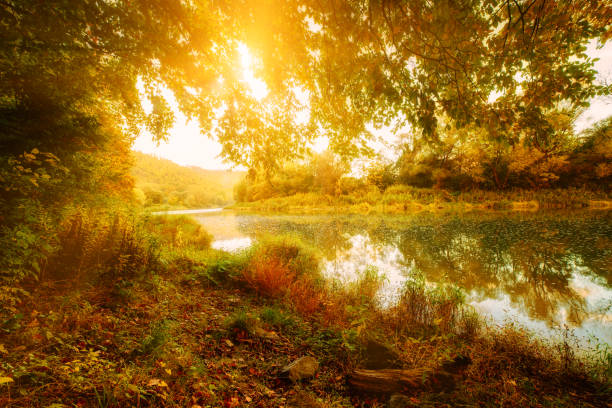 istock Beautiful autumn landscape 899120622
