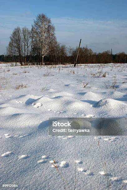 Zimowy Krajobraz - zdjęcia stockowe i więcej obrazów Bez ludzi - Bez ludzi, Biały, Chłodny