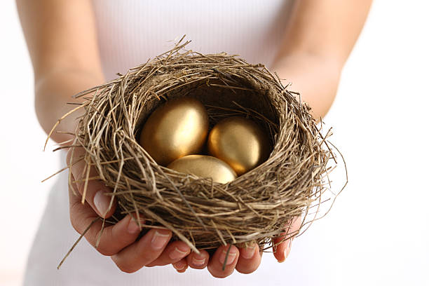 istock Hands holding nest with golden eggs 89912112