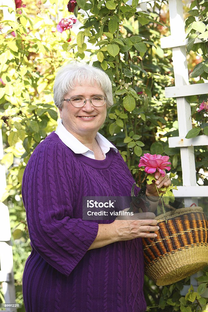 Donna anziana con rose garden - Foto stock royalty-free di 60-69 anni