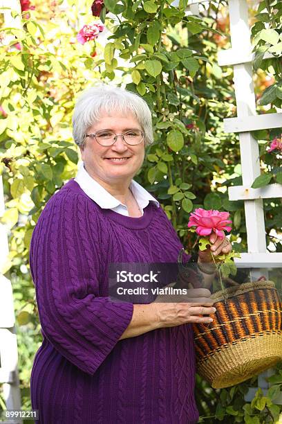 노인 여성 로즈 가든 60-69세에 대한 스톡 사진 및 기타 이미지 - 60-69세, 건강한 생활방식, 꽃 한송이