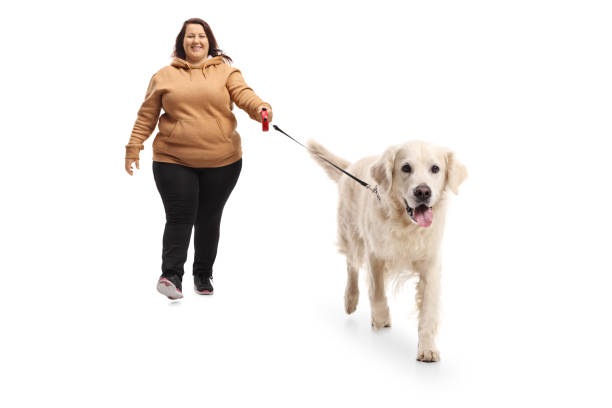istock Woman walking a labrador retriever dog 899122254