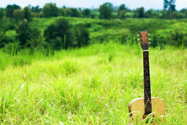 Electric guitars put on a green mountain,Line 1 is gone.