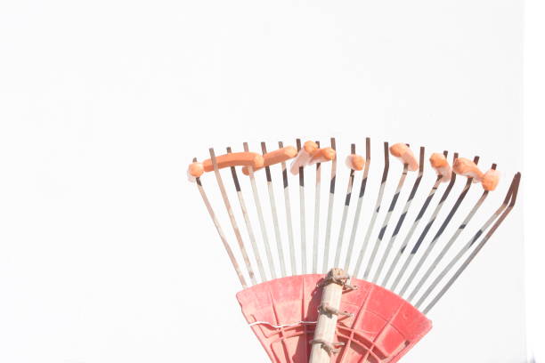 istock Creativity Preparation of hot dogs on the fire 899122544