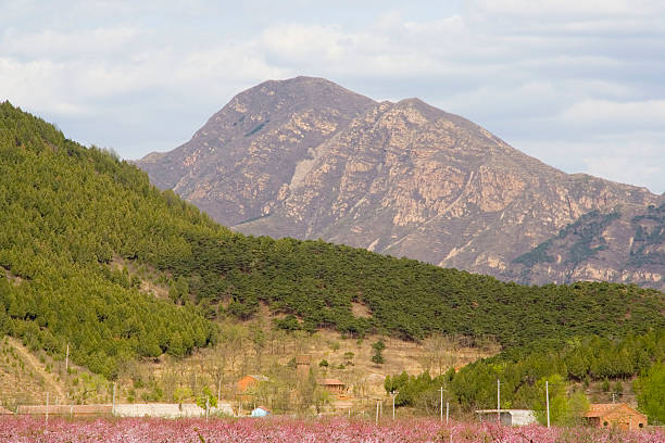 A plateau called Hiraodai with a refreshing blue sky and green grasslands