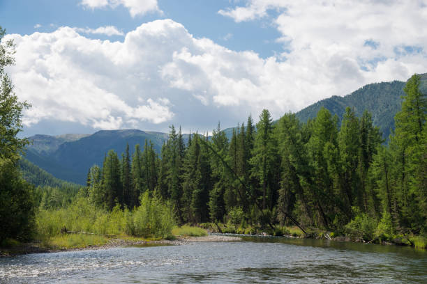 istock Beautiful summer landscape with mountains, forest and a river in front. Blue cloudy sky at background. 899125668