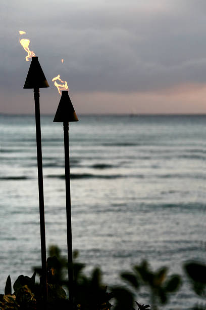 istock Tiki Torches in Hawaii 89912768