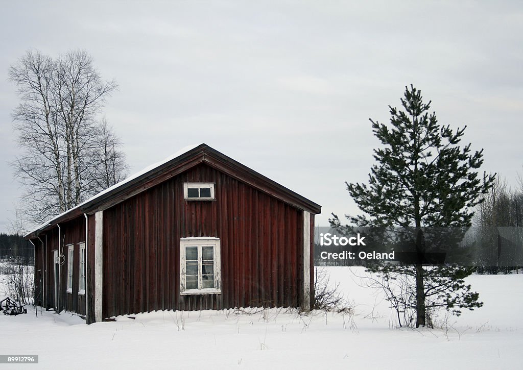 Lone rouge cottage - Photo de Arbre libre de droits