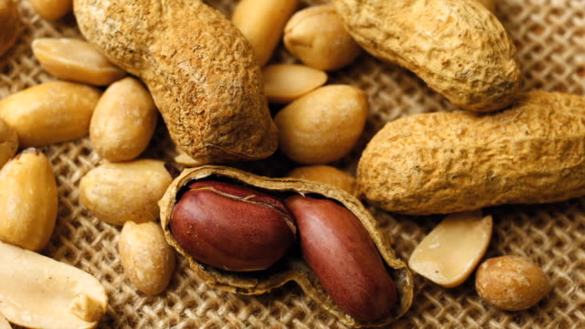Roasted peanuts in shell