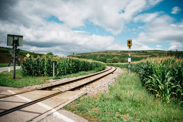 コーン フィールド風景の中の鉄道 - stoplight agriculture blue cloud ストックフォトと画像