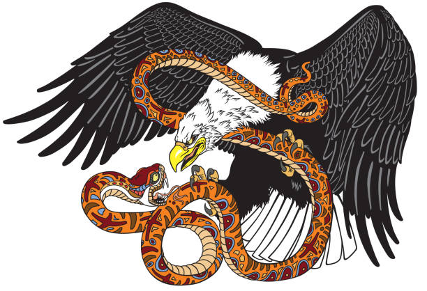 eagle fighting a snake serpent eagle fighting a snake serpent . Tattoo style vector illustration unconventional wisdom stock illustrations