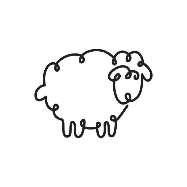 continuous one line drawing of sheep sheep vector illustration sheep illustrations stock illustrations