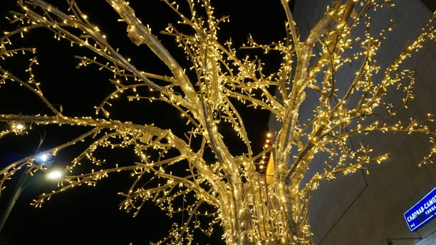 istock Christmas in Russia Moscow 899133096