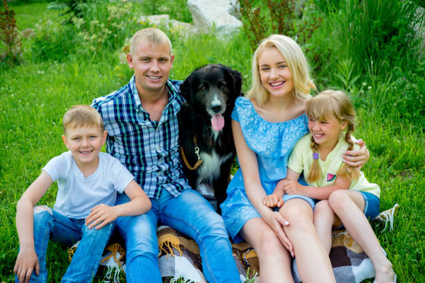 istock Family picnic with a dog 899133304