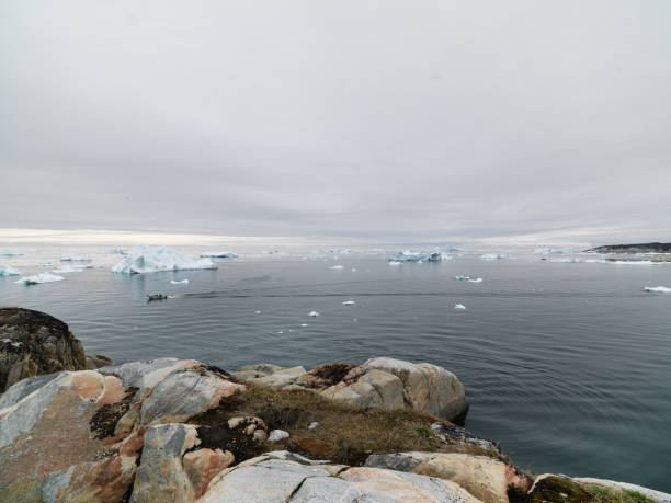 istock Arctic Icebergs on Arctic Ocean in Greenland 899134296