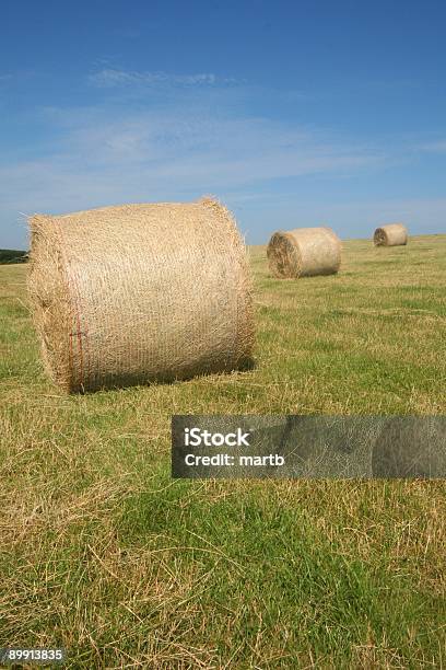 Três Fardos - Fotografias de stock e mais imagens de Agricultura - Agricultura, Ao Ar Livre, Campo agrícola