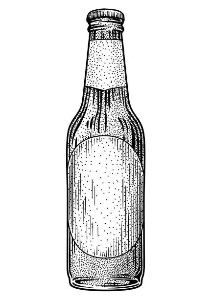 Vector illustration of Beer bottle illustration, drawing, engraving, ink, line art, vector