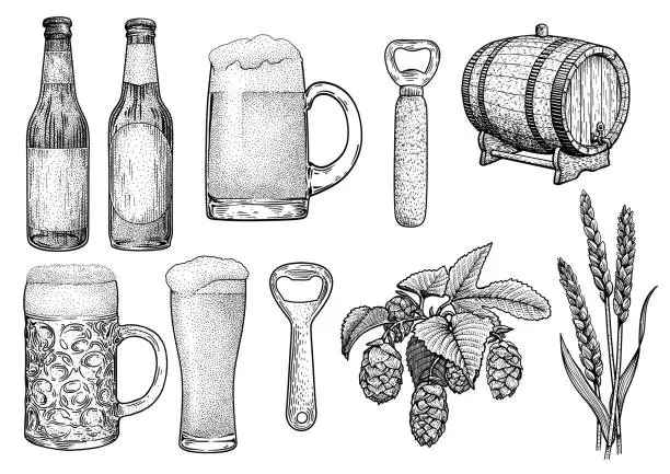 Vector illustration of Beer glass, bottle, cup, barrel, hop, wheat, opener illustration,   drawing, engraving, ink, line art, vector
