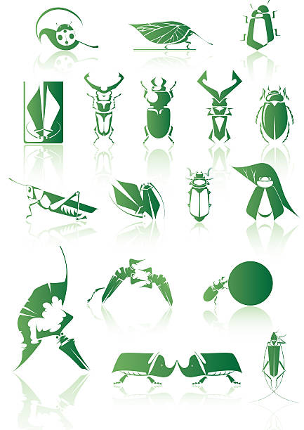 bugs vector art illustration