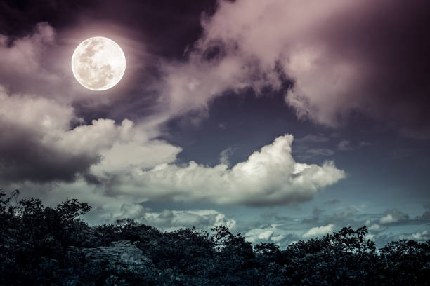 istock Silhouettes of tree and nighttime sky with clouds, bright full moon would. Cross process. 899145556
