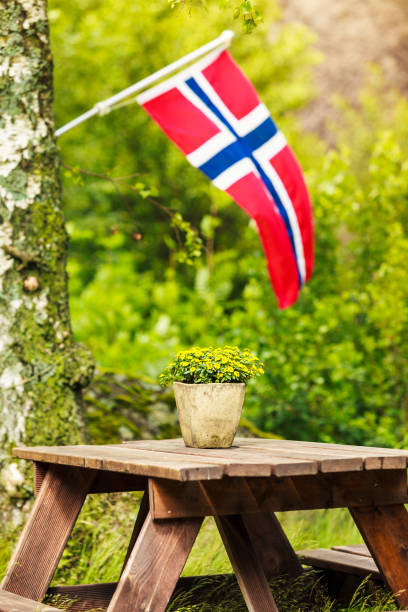 istock norwegian flag and green picnic site 899150294