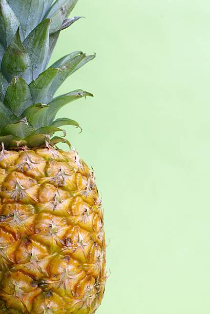 ananas - Photo