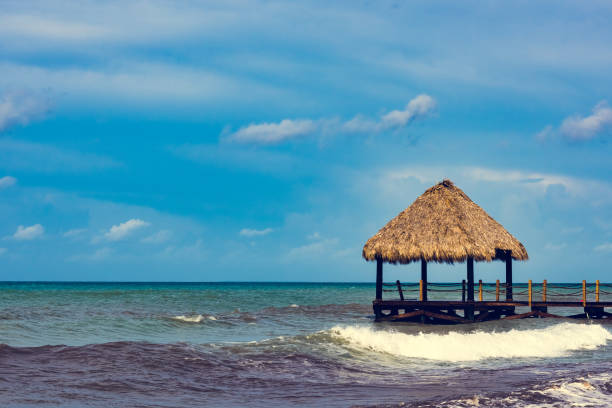 a motor boat in the sea near the shore in the background of the pier with a gazebo