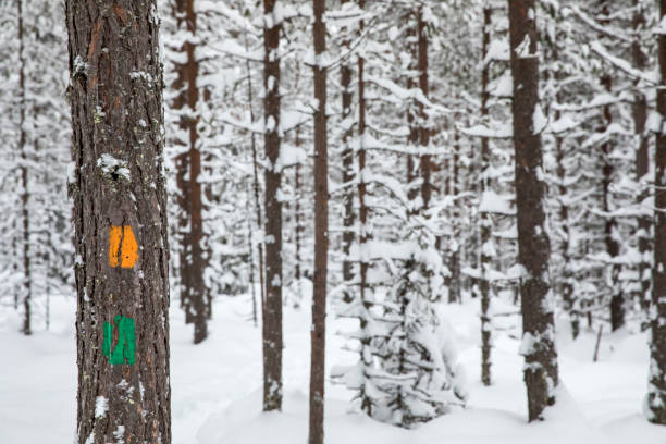 istock hiking trail markets 899153894