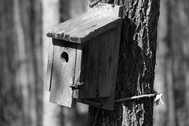 Simple Wooden Birdhouse stock photo