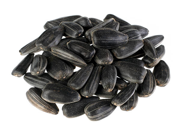 istock Sunflower seed detail 89915726