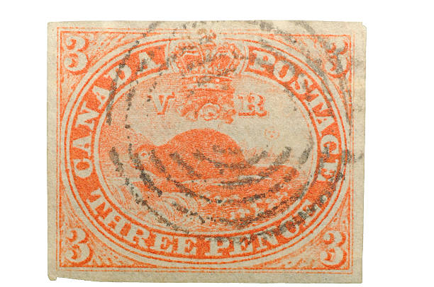 Cтоковое фото Первый Почтовая марка Канады (1851) - 3 пенсов Бивер