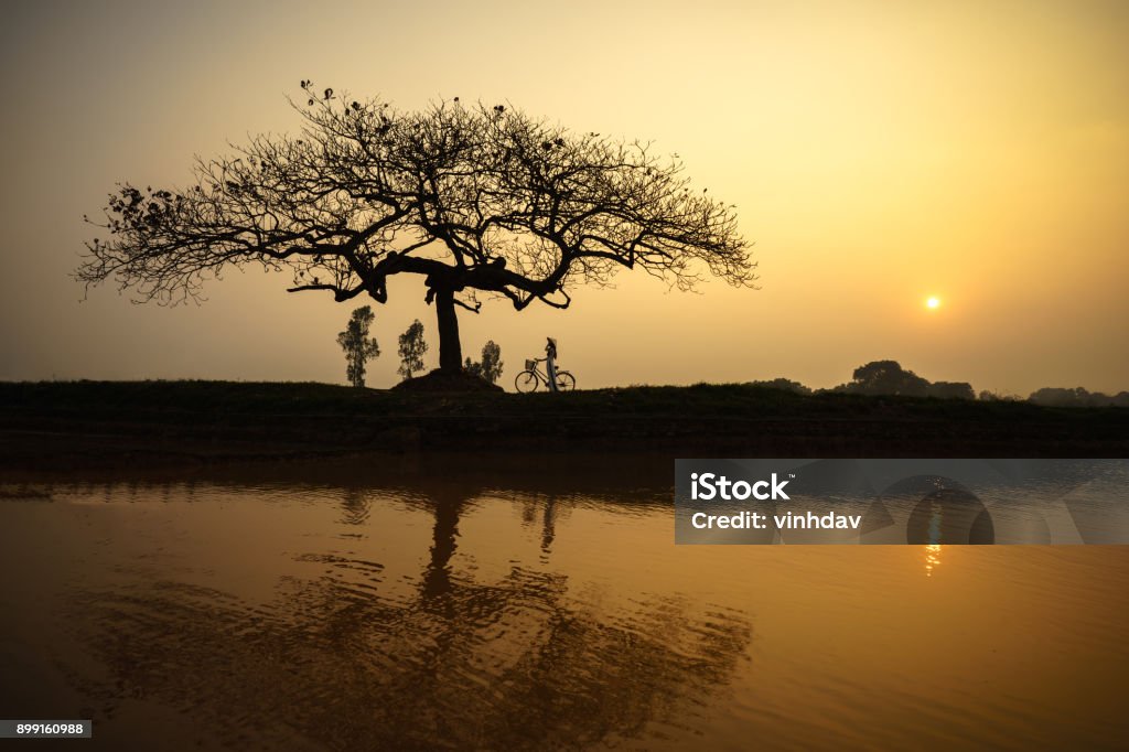 Beautiful landscape with trees silhouette and reflection at sunset with Vietnamese woman wearing traditional dress Ao Dai standing under the tree Adult Stock Photo