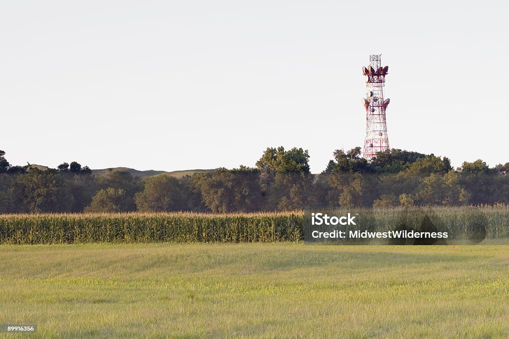 Maíz y torre celular - Foto de stock de Granja libre de derechos