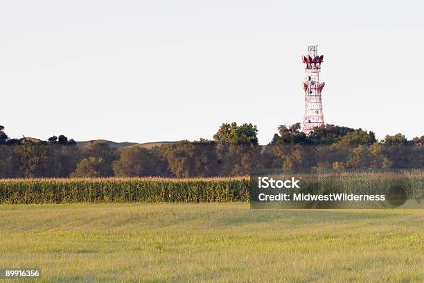 Maíz Y Torre Celular Foto de stock y más banco de imágenes de Granja - Granja, Nebraska, Torre repetidora